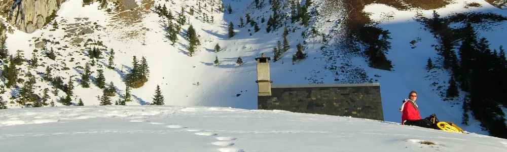 Balade-a-raquettes-Pyrenees