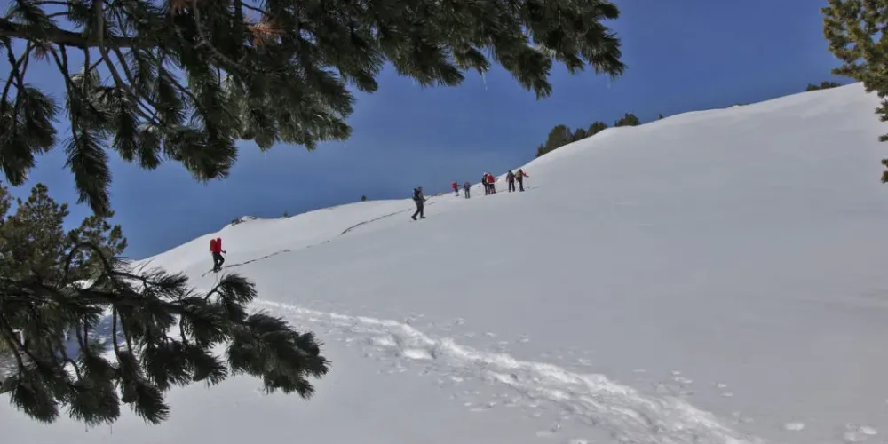 balade raquette neige (26)