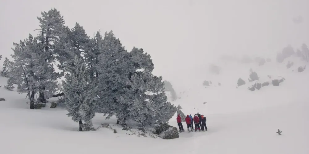 balade raquette neige (25)