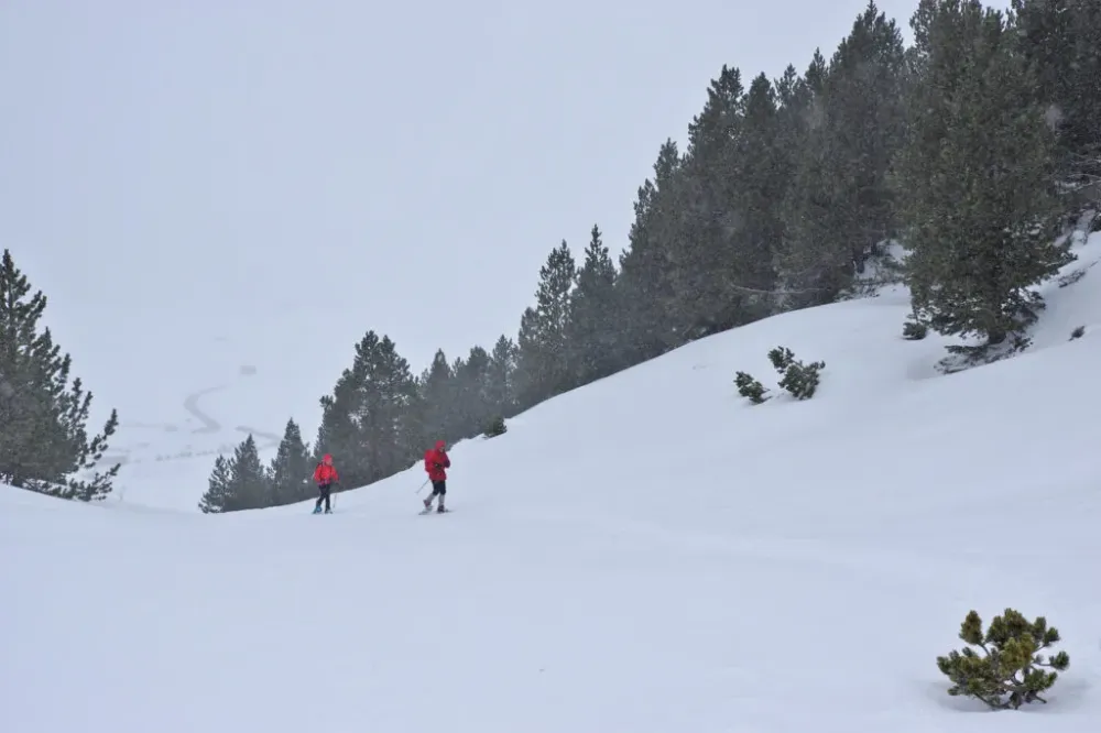 balade raquette neige (24)