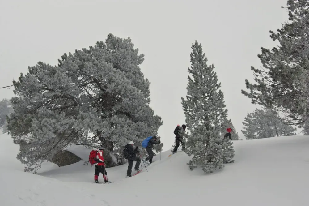 balade raquette neige (14)