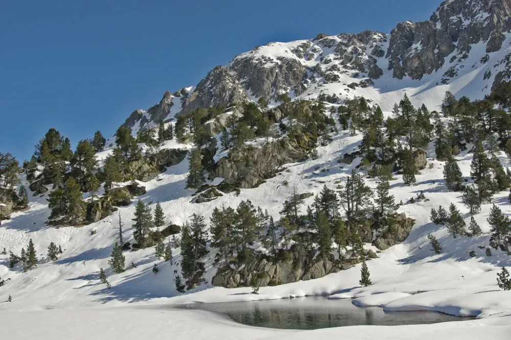 balade raquette neige (18)