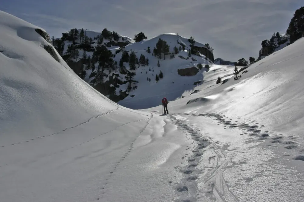 balade raquette neige (21)