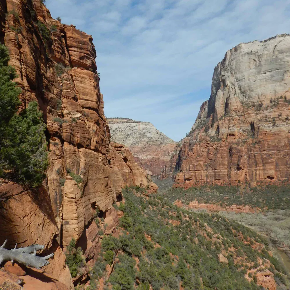 Zion-2-1