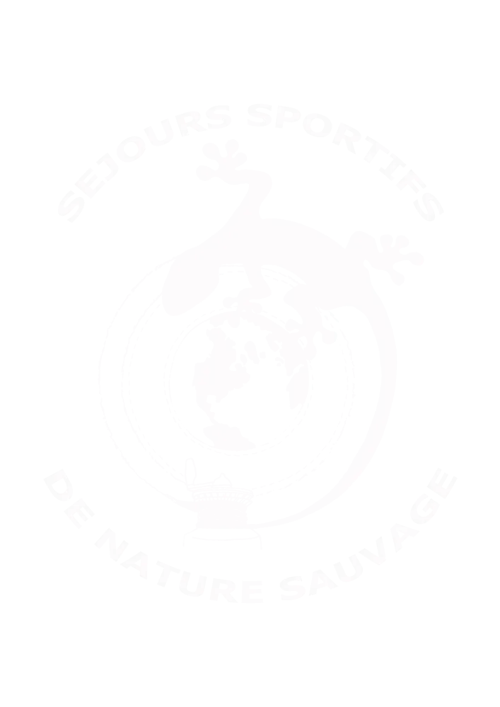 LOGO BLANC copie